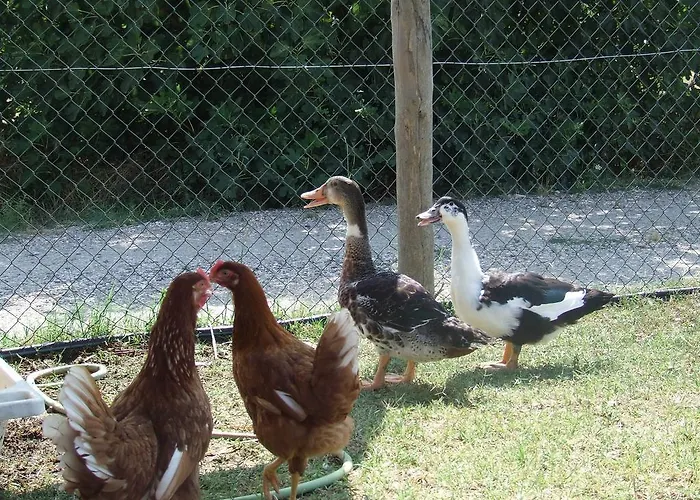 Estadia no rancho Il Casale Di Roma