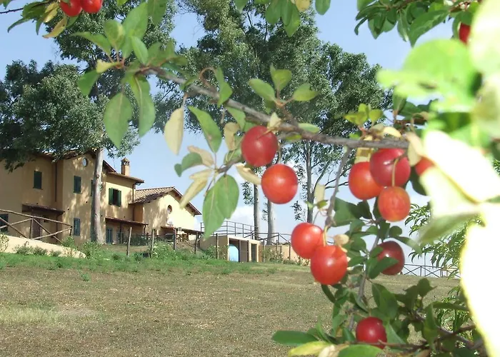 Il Casale Di Estadia no rancho